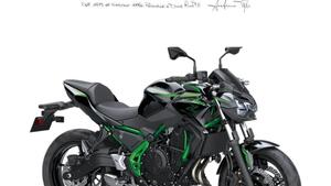 Kawasaki Z 650 (2021 - 24) 