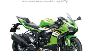 Kawasaki Ninja 636 ZX-6R (2024 - 25) 