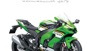 Kawasaki Ninja 1000 ZX-10R (2021 - 25) 