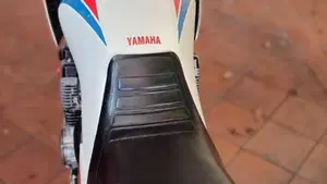 Yamaha   (6)
