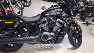 Harley-Davidson Nightster (2023 - 25) usata