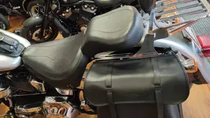 Harley-Davidson   (4)