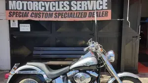 Harley-Davidson   (3)