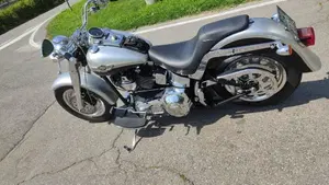 Harley-Davidson   (20)