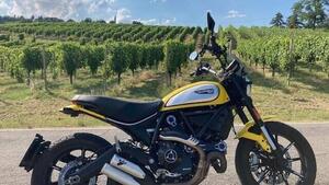 Ducati Scrambler 800 Icon (2021 - 22) 