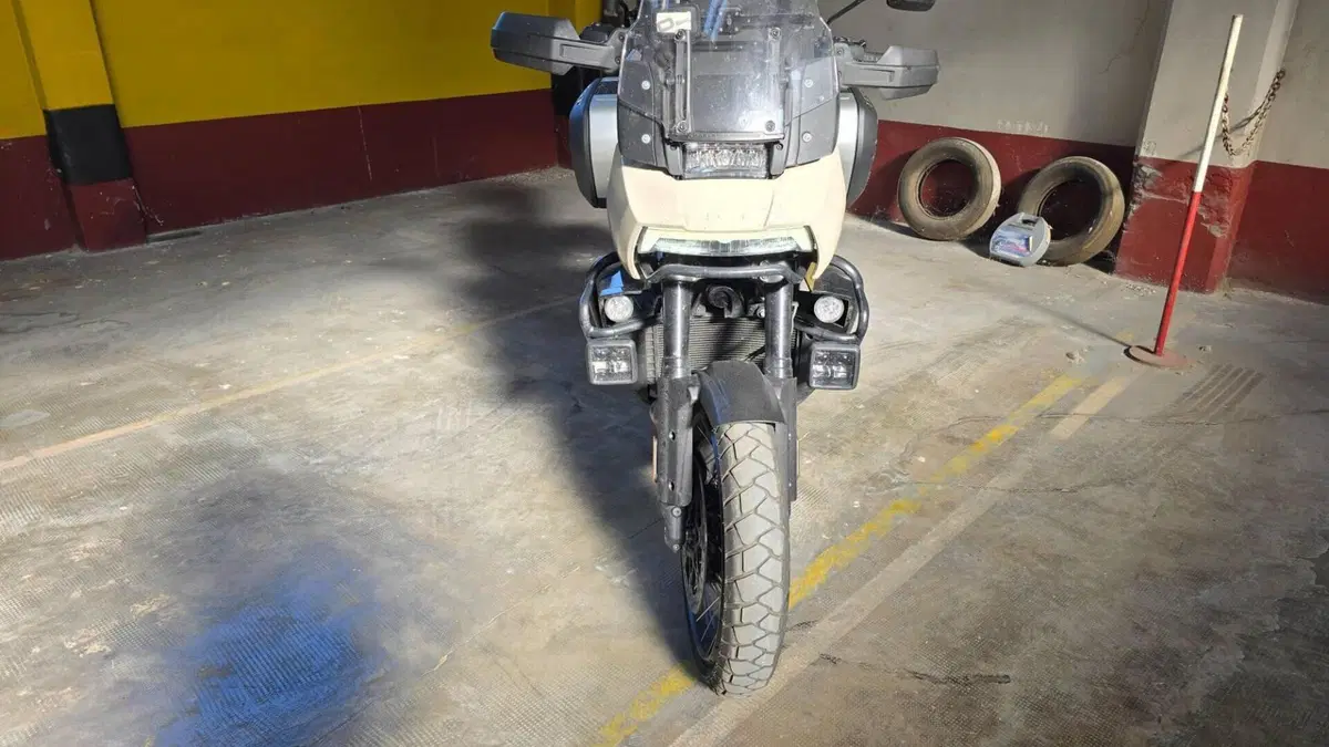 Harley-Davidson Pan America 1250 Special (2020 - 25)  (3)