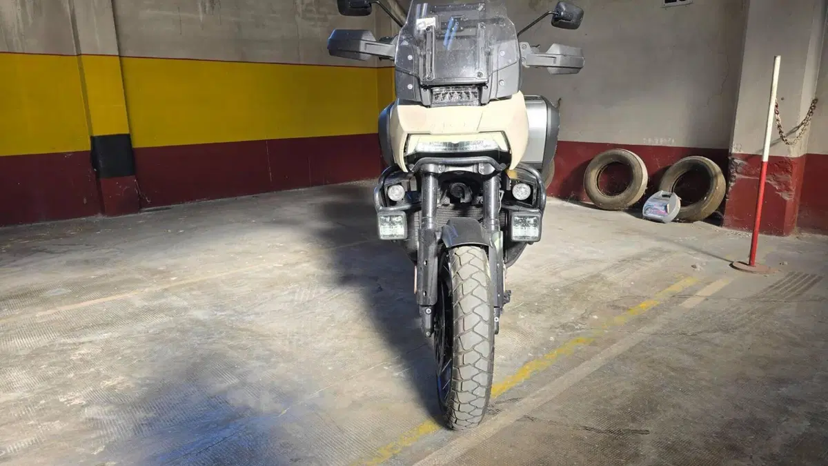 Harley-Davidson Pan America 1250 Special (2020 - 25)  (4)