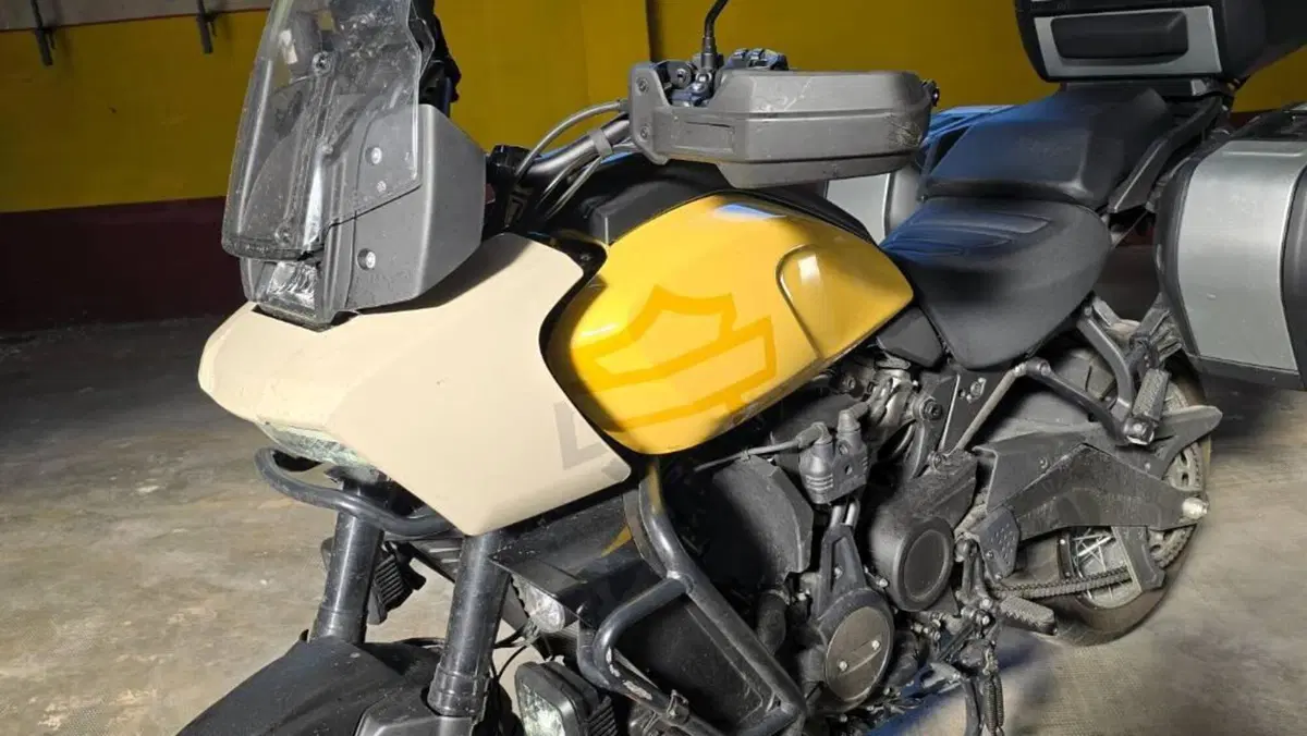 Harley-Davidson Pan America 1250 Special (2020 - 25)  (5)