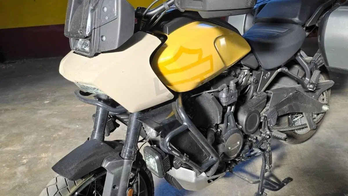 Harley-Davidson Pan America 1250 Special (2020 - 25)  (6)