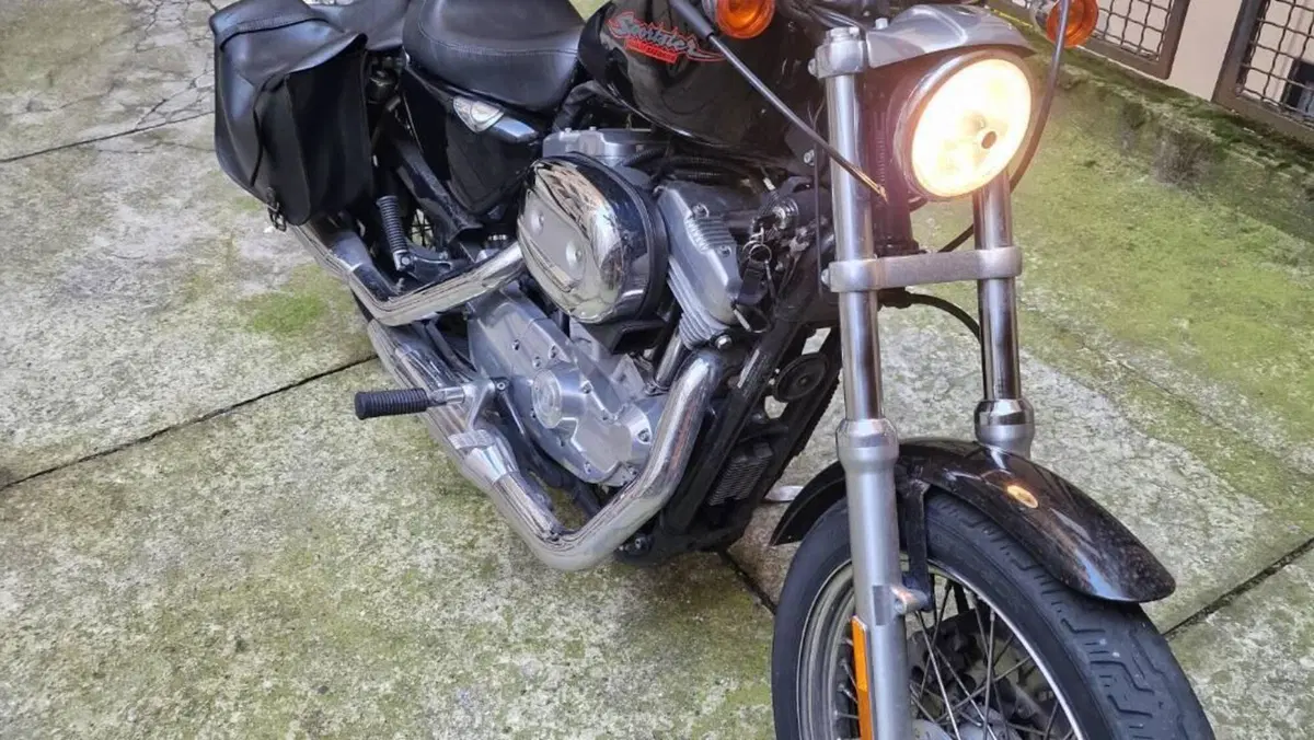 Harley-Davidson 883 (2006 - 07) - XL 