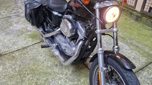 Harley-Davidson 883 (2006 - 07) - XL 