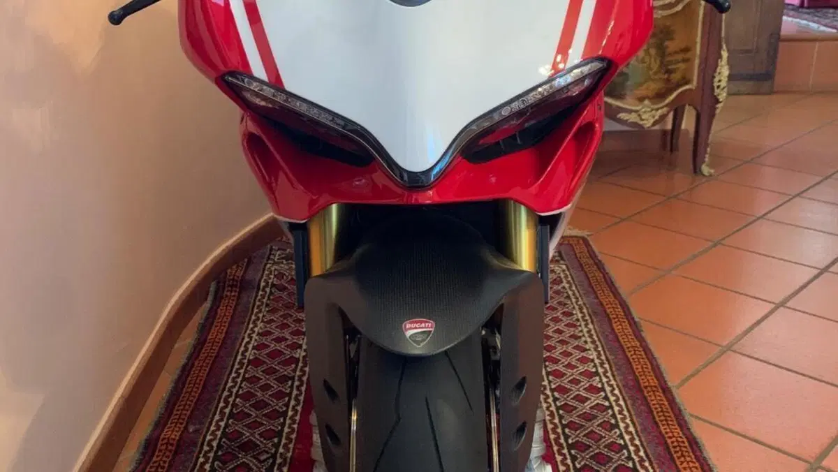 Ducati 1299 Panigale R Final Edition (2017 - 20)  (4)