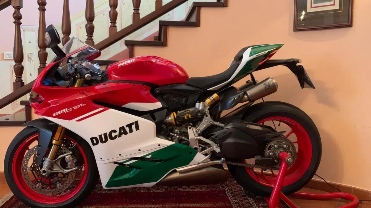 Ducati 1299 Panigale R Final Edition (2017 - 20)  (6)