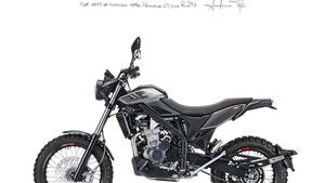Betamotor Alp X (2024 - 25) 