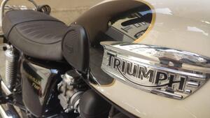 Triumph Bonneville T100 (2008 - 16) 