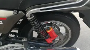 Moto Guzzi   (7)