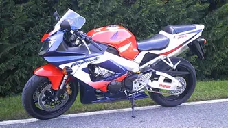 Honda CBR 900 RR Fireblade (2000 - 01) usata