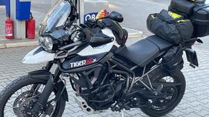 Triumph Tiger 800 XCx (2015 - 17) 