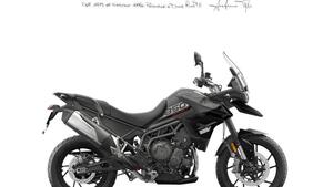 Triumph Tiger 850 Sport (2021 - 25) 