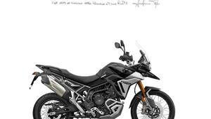 Triumph Tiger 900 Rally Pro (2024 - 25) 