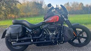 Harley-Davidson Street Bob 114 (2021 - 24) 