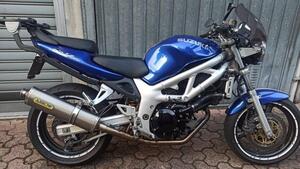 Suzuki SV 650 (1999 - 02) 