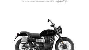 Triumph Scrambler 900 (2023 - 25) 