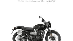 Triumph Scrambler 900 (2023 - 25) 
