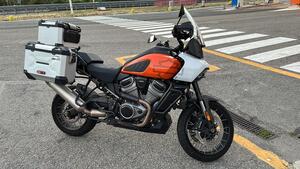 Harley-Davidson Pan America 1250 Special (2020 - 25) 