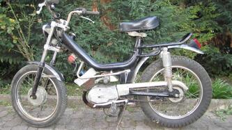 Mzv Cambridge epoca