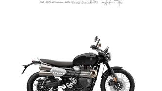 Triumph Scrambler 1200 X (2024 - 25) nuova