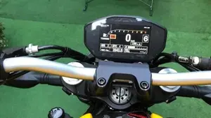 Ducati Monster 821 (2018 - 20)  (2)