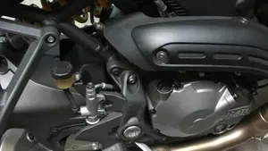 Ducati Monster 821 (2018 - 20)  (7)