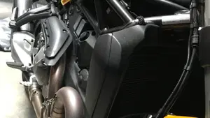 Ducati Monster 821 (2018 - 20)  (9)