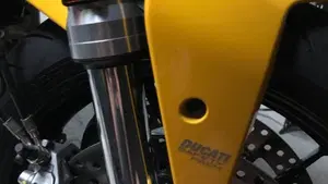 Ducati Monster 821 (2018 - 20)  (10)
