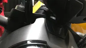 Ducati Monster 821 (2018 - 20)  (11)