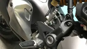 Ducati Monster 821 (2018 - 20)  (15)