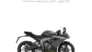 Triumph Daytona 660 (2024 - 25) 