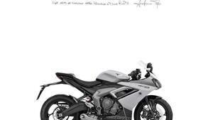 Triumph Daytona 660 (2024 - 25) 