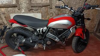 ducati scrambler 800 icon (2023 - 24)