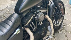 Harley-Davidson 883 (2006 - 07) - XL 