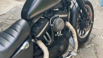 Harley-Davidson 883 (2006 - 07) - XL usata