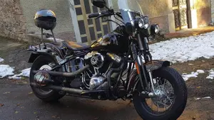 Harley-Davidson 1584 Cross Bones (2008 - 11) - FLSTSB 