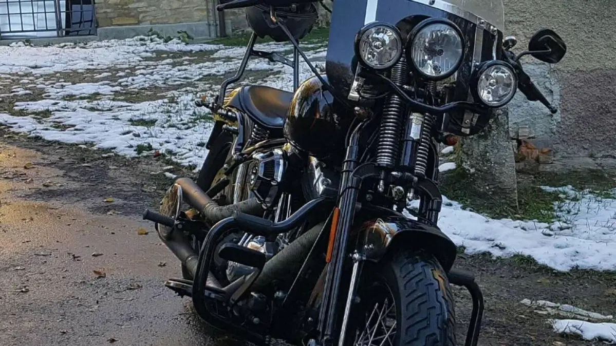 Harley-Davidson 1584 Cross Bones (2008 - 11) - FLSTSB  (2)