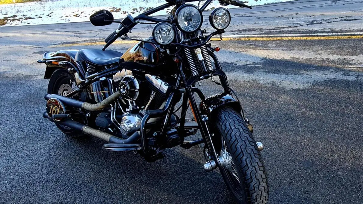 Harley-Davidson 1584 Cross Bones (2008 - 11) - FLSTSB  (3)