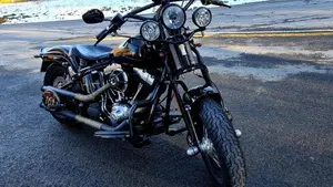 Harley-Davidson 1584 Cross Bones (2008 - 11) - FLSTSB  (3)