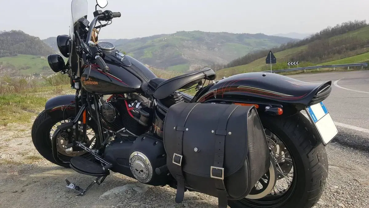 Harley-Davidson 1584 Cross Bones (2008 - 11) - FLSTSB  (4)