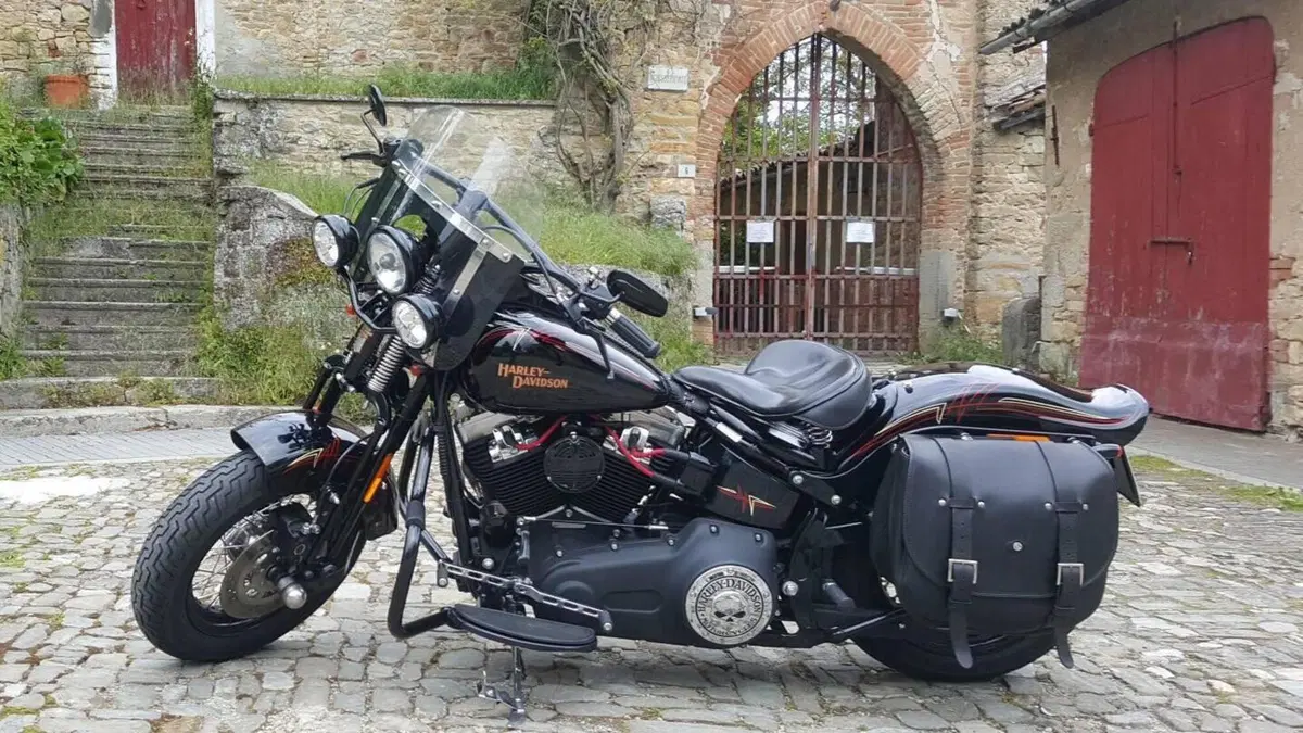 Harley-Davidson 1584 Cross Bones (2008 - 11) - FLSTSB  (6)