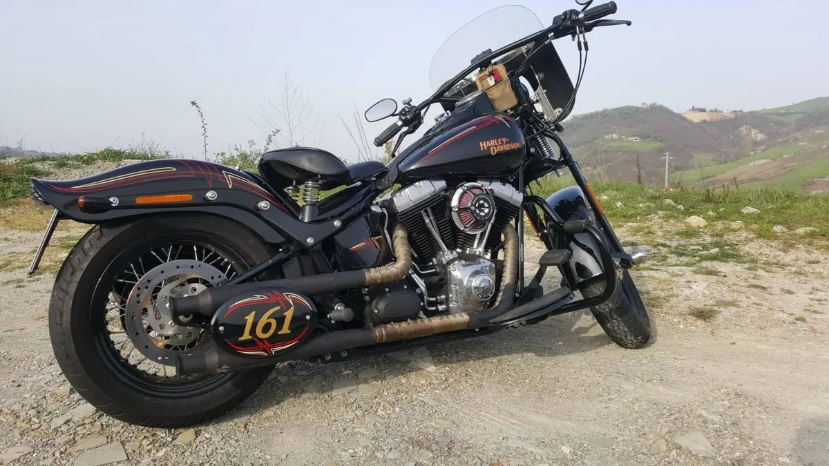 Harley-Davidson 1584 Cross Bones (2008 - 11) - FLSTSB  (7)