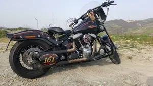 Harley-Davidson 1584 Cross Bones (2008 - 11) - FLSTSB  (7)